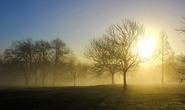 foggy-brockwell-park-10.jpg