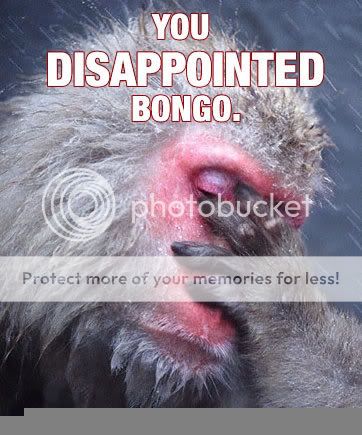 disappointed-bongo.jpg