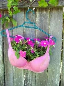 bra-planter-225x300.jpg