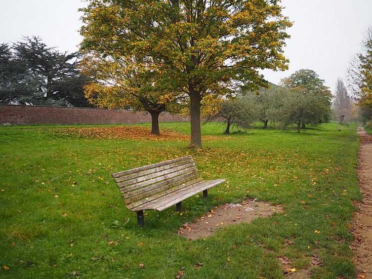 In photos: a wonderful autumnal walk from Hampton Court to Kingston alongside the River Thames