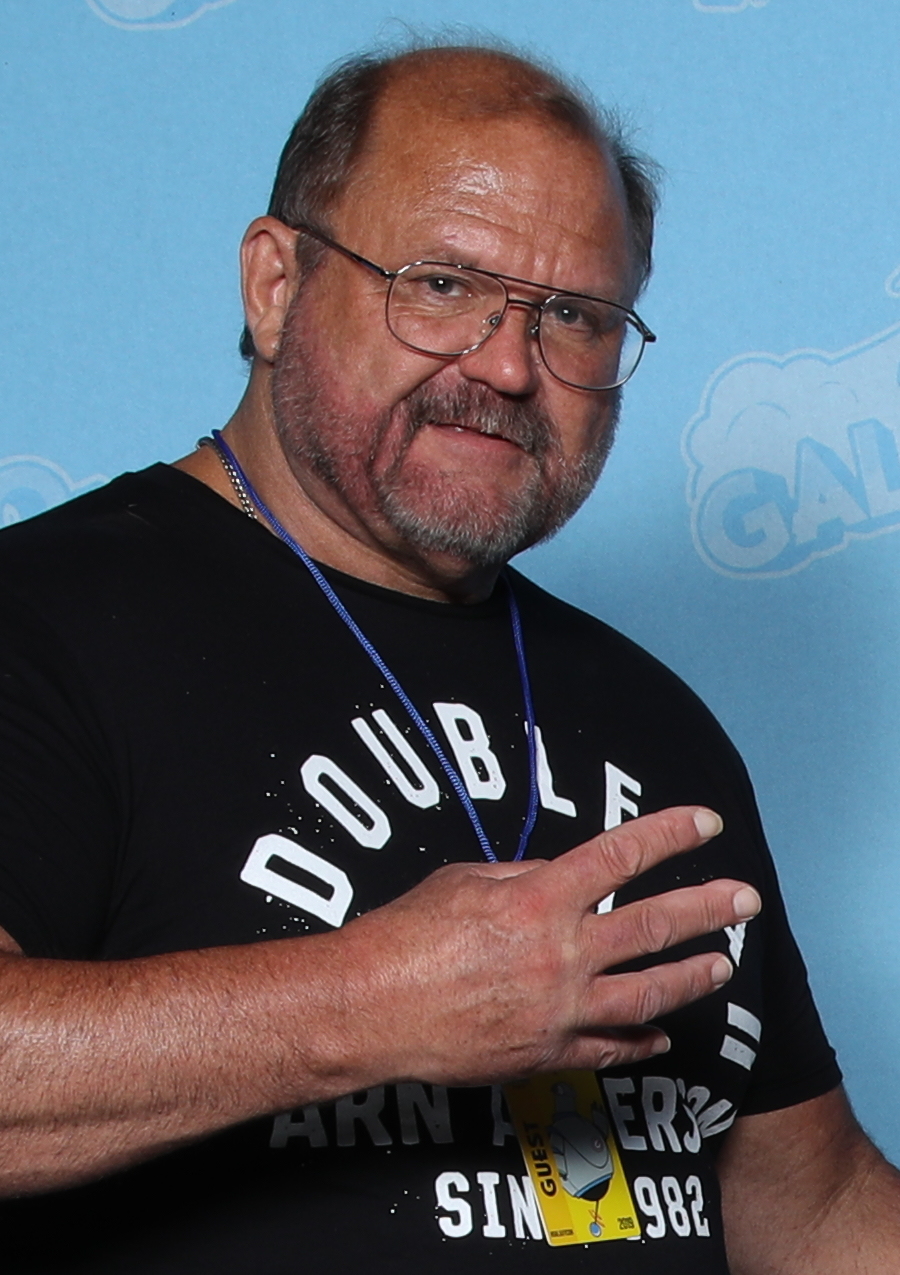 Arn_Anderson_%2848481801426%29.jpg