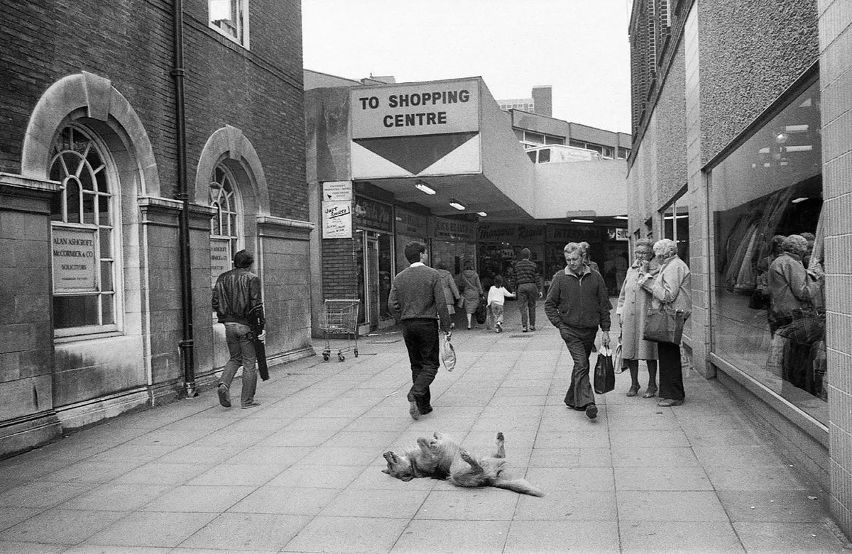 Eccles shopping precinct, early 1980s, with people walking to the shops and a dog lying on its back on the middle of the pavement with its legs in the air.  Photo by Martin O'Neill