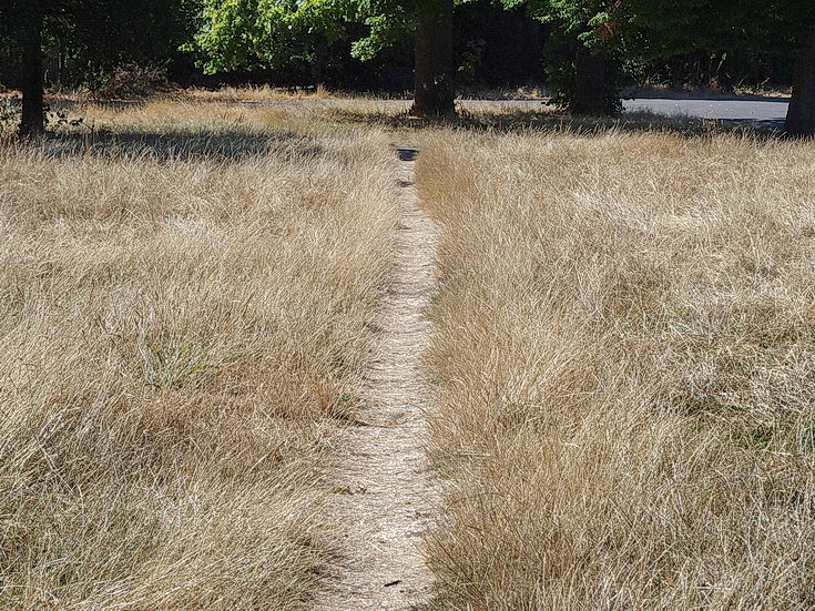 In photos: Brockwell Park bakes in the heatwave of summer 2022