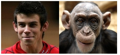 bale-monkey.png