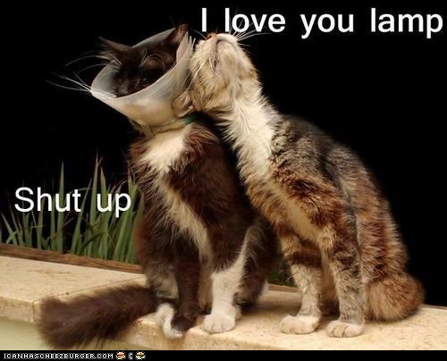 lamp-love