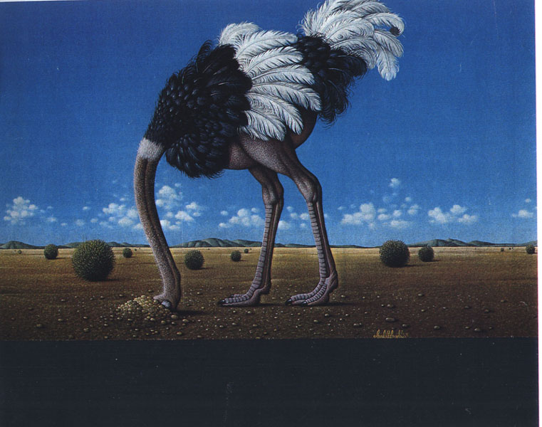 ostrich.jpg