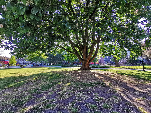 In photos: a walk around Camberwell Green, south London