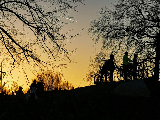 In photos: a winter walk around Brockwell park, south London, 19th Jan 2020