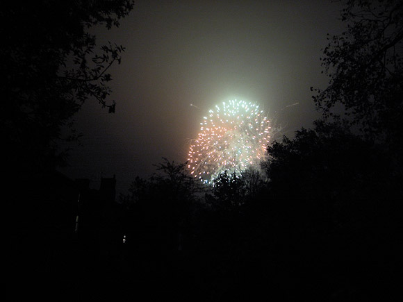 brockwell-park-fireworks-2011-08.jpg