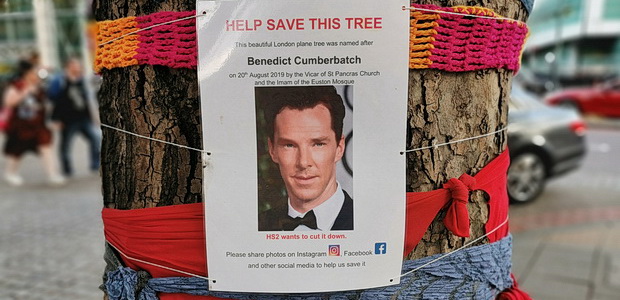 benedict-cumberbatch-tree-01.jpg