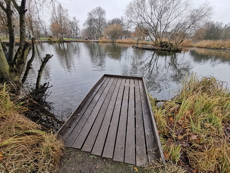 Clapham Common on a winter afternoon: busy crowds, frozen pond and grey skies - photos