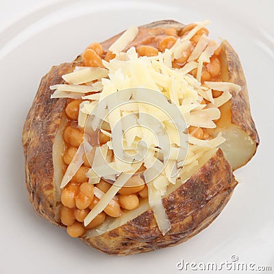 baked-potato-with-beans-and-cheese-thumb5363743.jpg