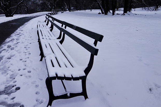 central-park-nyc-snow-23.jpg