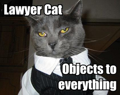 lawyer-lolcat.jpeg