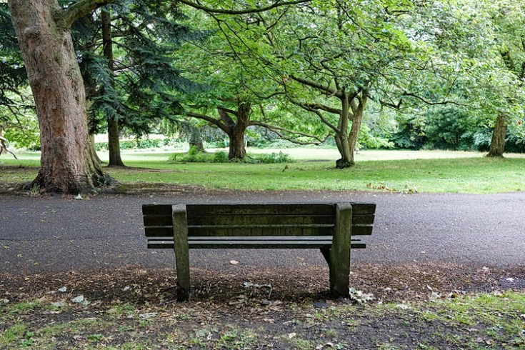 The colours of Ruskin Park in 33 photos: July 2020