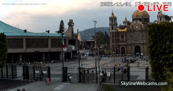 www.skylinewebcams.com