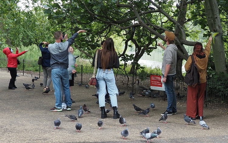 A photo walk through Green Park, St James's Park and Trafalgar Square, London, September 2020