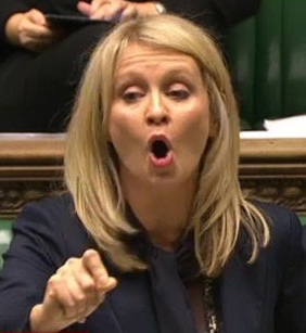 esther-mcvey-2942256.jpg