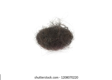 hairball-isolated-on-white-260nw-1208070220.jpg