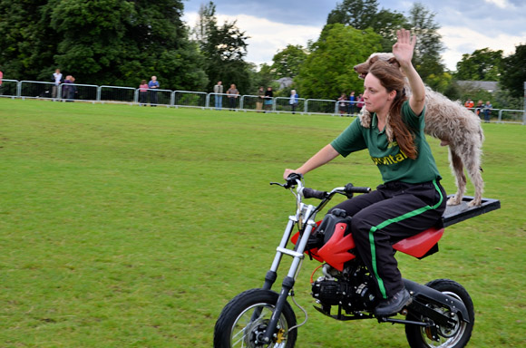 lambeth-country-show-2011-97.jpg