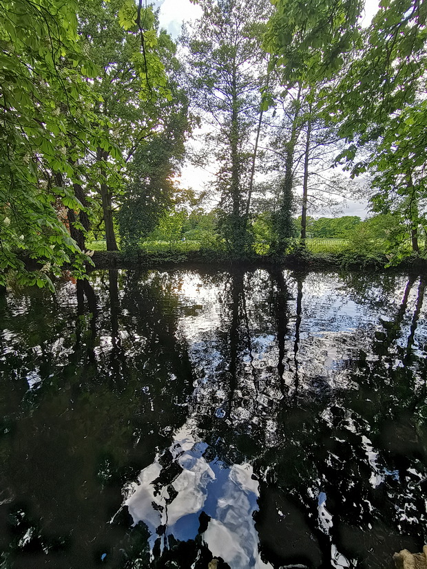 In photos: Belair Park and the ancient River Effra, West Dulwich, south London