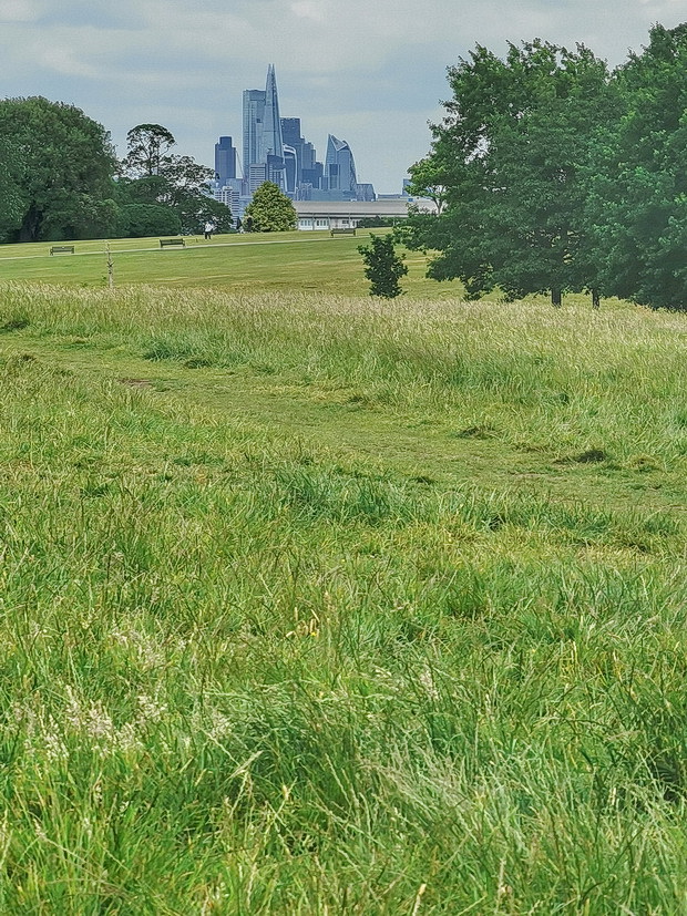 The City Beyond The Hill - the skyscrapers of London seen from Brockwell park - photos