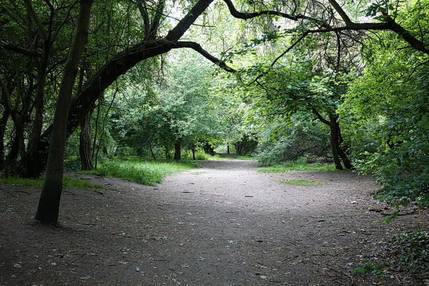 In photos: the green spaces, ponds and trees of Clapham Common