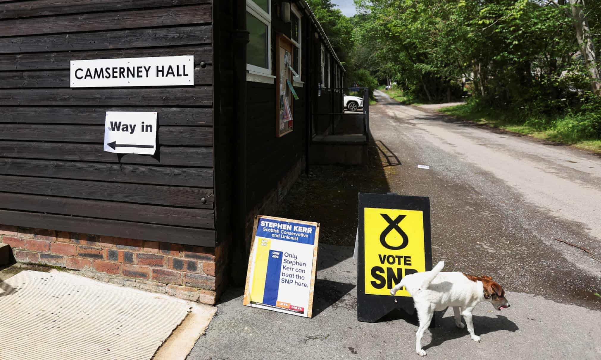 small dog pissing on a 'vote SNP' sign board