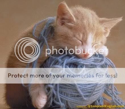 kitten-thread-yarn.jpg