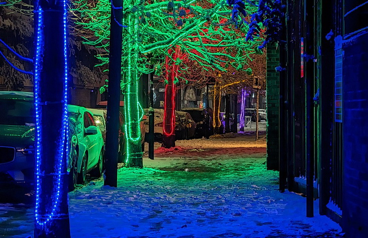 In photos: trees in a neon glow along Brixton Station Road 