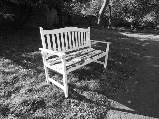 Empty park benches - Lambeth parks and the coronavirus, March 2020