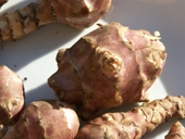 jerusalem_artichoke_60.jpg