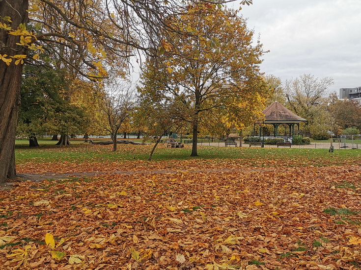 In photos: Browns, oranges and yellows - Ruskin Park in autumnal splendour