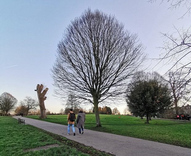 In photos: a winter walk around Brockwell park, south London, 19th Jan 2020