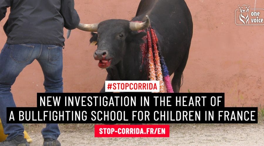 www.stop-corrida.fr