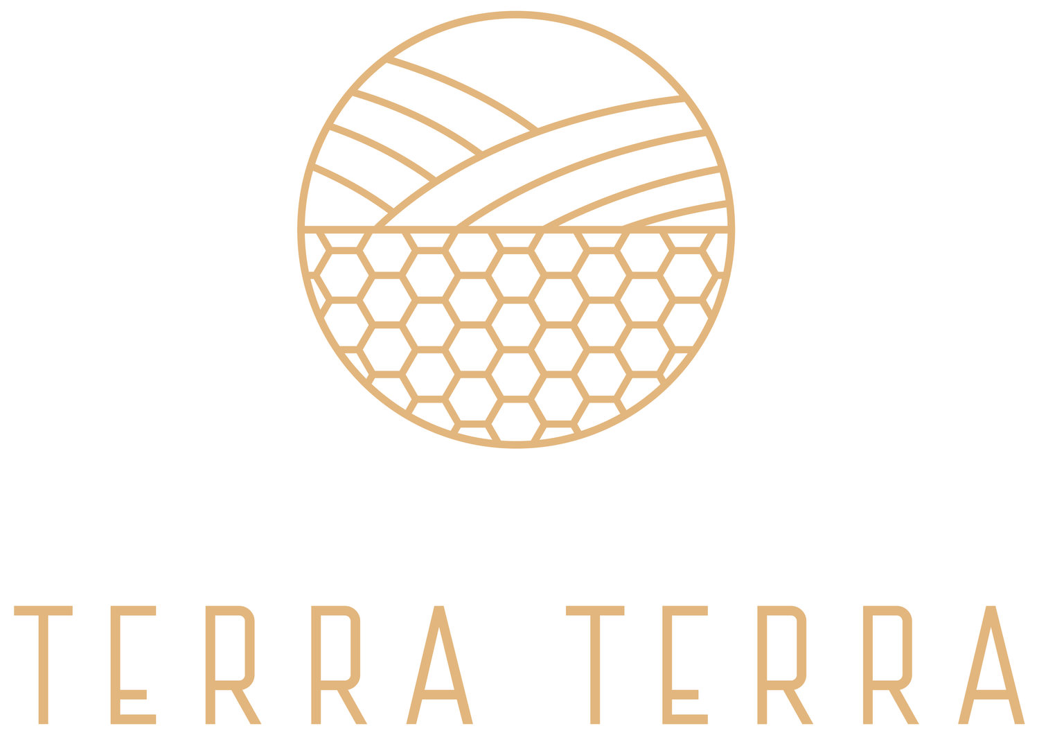 www.terraterra.co.uk