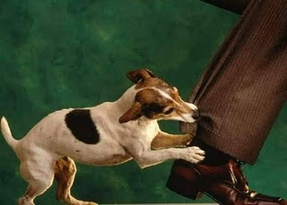 jrt-ankle-biter.jpg