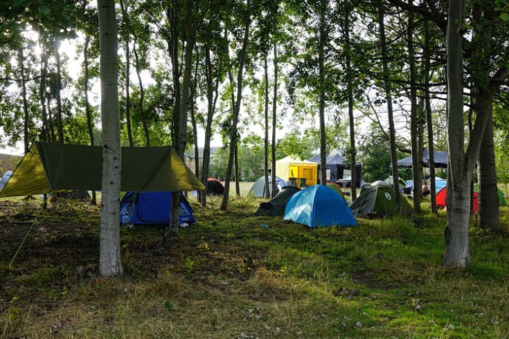 In photos: Extinction Rebellion camp in Brockwell Park, south London