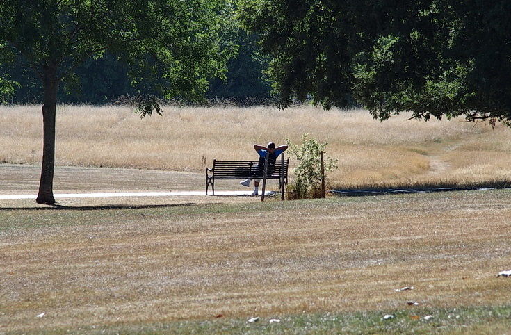 In photos: Brockwell Park bakes in the heatwave of summer 2022