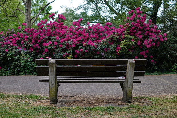 In photos: Ruskin Park after five weeks of lockdown, April 2020