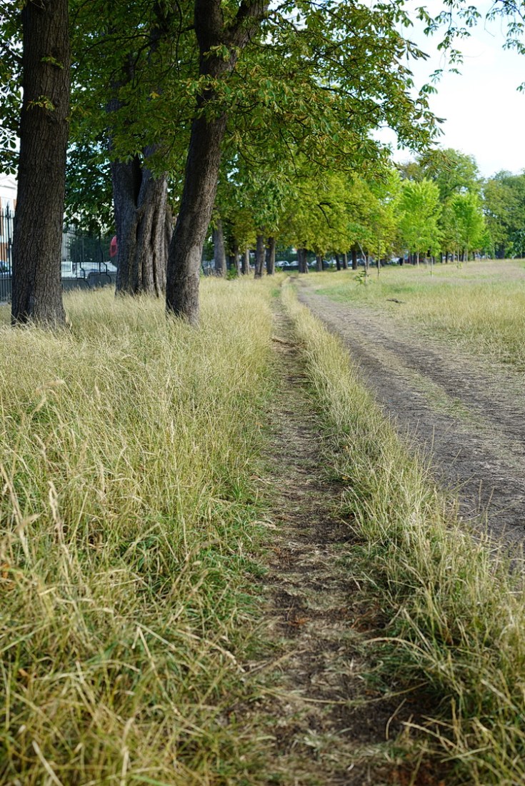 Brockwell Park in summer - 25 photos, July 2020