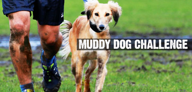 muddy-dog-challenge-brockwell-park.jpg