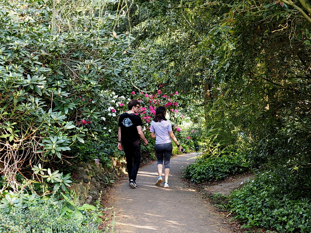 In photos: A sunny walk around Streatham Common and The Rookery