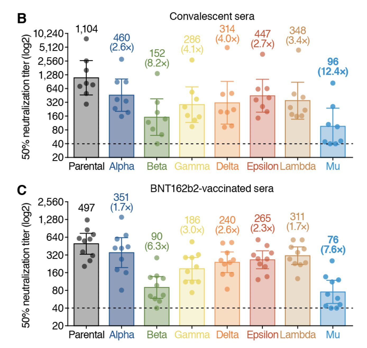 Neutralisation assay performed using pseudoviruses harbouring the SARS-CoV-2 spike proteins of the alpha, beta, gamma, delta, epsilon, lambda, mu variants and the D614G-harbouring parental virus. Eight COVID-19 convalescent sera (B) and ten sera from BNT162b2-vaccinated individuals (C).