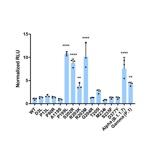 Effect of mutations in the N proteins on SC2-VLP induced luminescence (luciferase expression, RLU, related to levels of RNA expression): an initial screen of 15 N mutants compared to the reference Wuhan Hu-1 N sequence (WT).