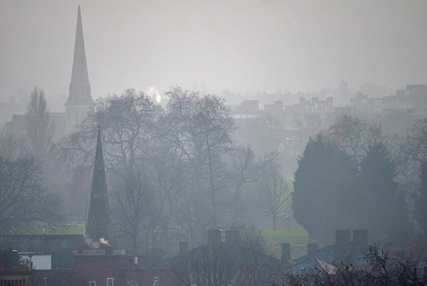 brockwell-park-mist-5.jpg