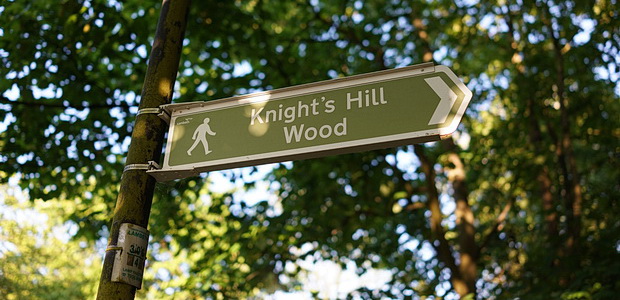 In photos: The small, scruffy but lovely Knight's Hill Wood, south London