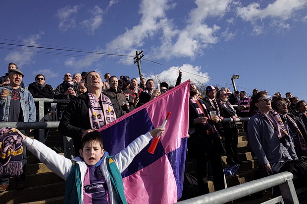 lewes-dulwich-hamlet-15.jpg