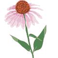 flower.gif