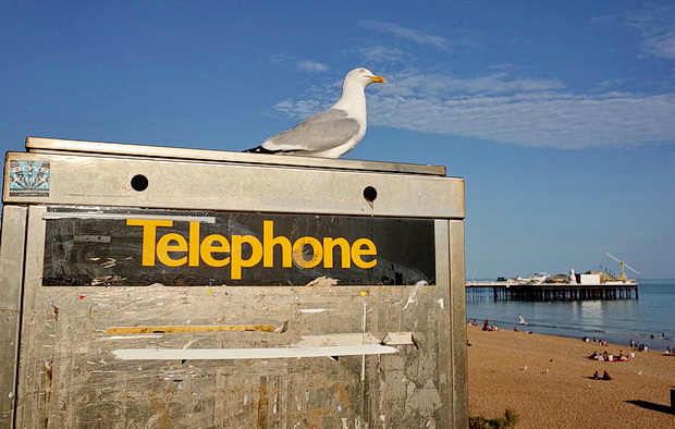 brighton-seaside-photos-07.jpg